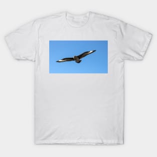 South polar skua in flight T-Shirt